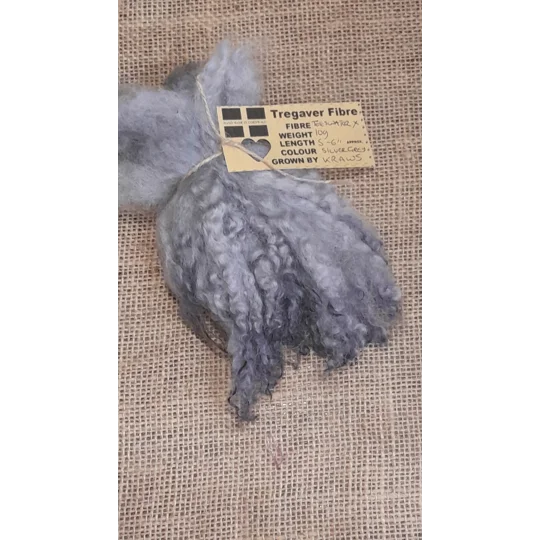 Silver wavy wool locks teeswater cross sheep locks