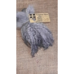 Silver wavy wool locks teeswater cross sheep locks Silver wavy wool locks teeswater cross sheep locks