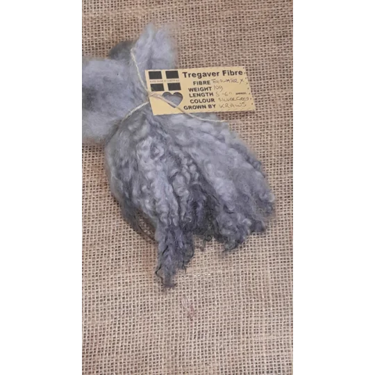 Silver wavy wool locks teeswater cross sheep locks