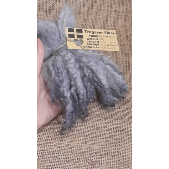 Silver wavy wool locks teeswater cross sheep locks