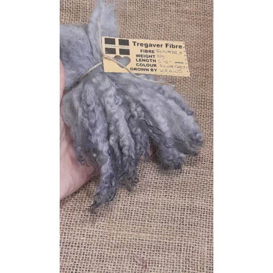 Silver wavy wool locks teeswater cross sheep locks