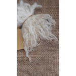 Natural Undyed cream and white wavy wool locks, Devon and Cornwall Longwool x Suffolk Natural Undyed cream and white wavy wool locks, Devon and Cornwall Longwool x Suffolk