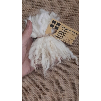 Natural Undyed cream and white wavy wool locks, Devon and Cornwall Longwool x Suffolk Natural Undyed cream and white wavy wool locks, Devon and Cornwall Longwool x Suffolk