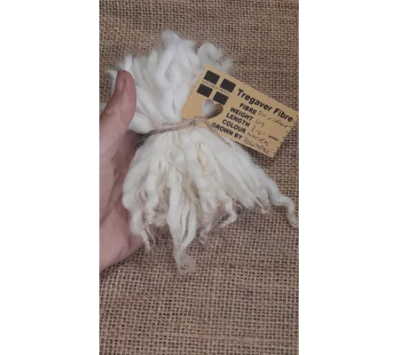 Natural Undyed cream and white wavy wool locks, Devon and Cornwall Longwool x Suffolk
