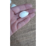 5 silk cocoons 5 silk cocoons