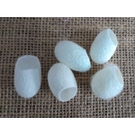 5 silk cocoons 5 silk cocoons
