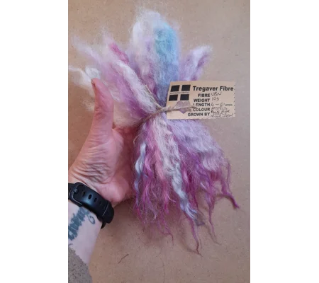 Pink blue and purple pastels Valais Blacknose wool locks, 10g inspired by Enid from Wednesday