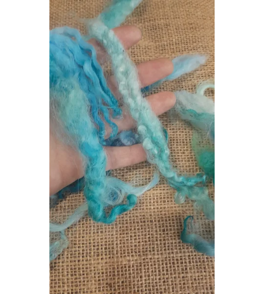 Mixed breeds curly wool, 10g Ocean Blue Green MIx