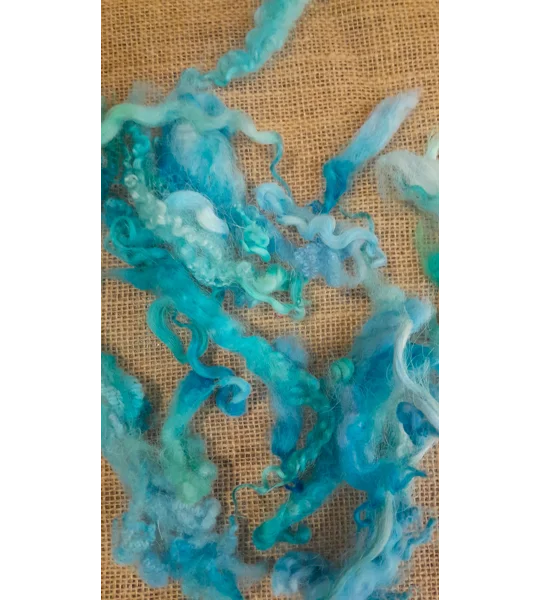 Mixed breeds curly wool, 10g Ocean Blue Green MIx