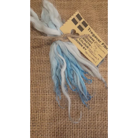 Frosty Morning wavy wool locks, Devon and Cornwall Longwool 7g