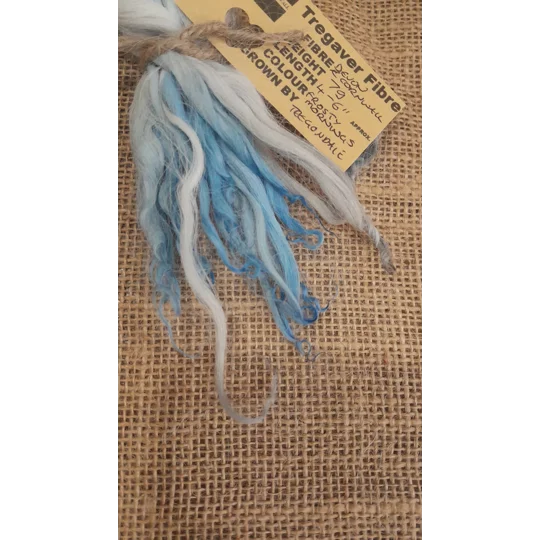 Frosty Morning wavy wool locks, Devon and Cornwall Longwool 7g