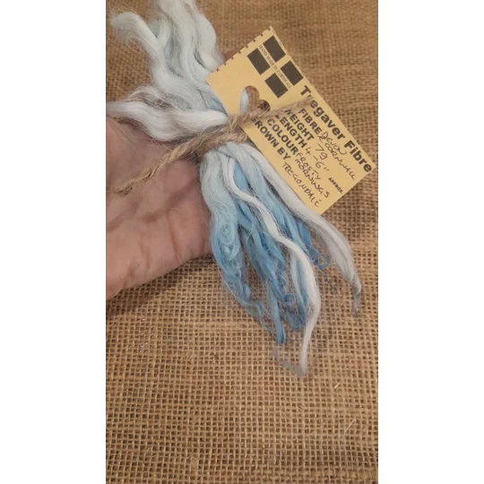 Frosty Morning wavy wool locks, Devon and Cornwall Longwool 7g