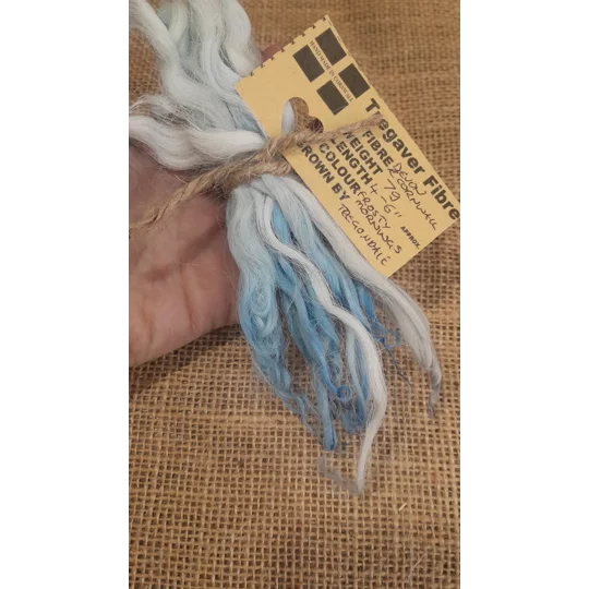 Frosty Morning wavy wool locks, Devon and Cornwall Longwool 7g