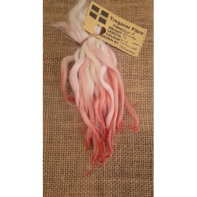 Candy Cane pink/white/cream wavy wool locks, Devon and Cornwall Longwool 7g Candy Cane pink/white/cream wavy wool locks, Devon and Cornwall Longwool 7g
