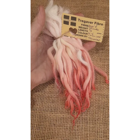 Candy Cane pink/white/cream wavy wool locks, Devon and Cornwall Longwool 7g