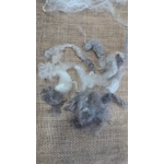 A Gnome for All Seasons, Needle Felting kit -  Winter - Gwav