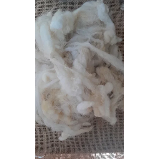 Uncarded Perendale wool for core, stuffing and felting 100g
