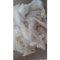 Uncarded Perendale wool for core, stuffing and felting 100g