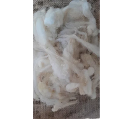 Uncarded Perendale wool for core, stuffing and felting 100g