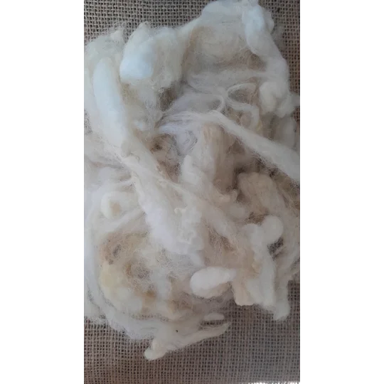 Uncarded Perendale wool for core, stuffing and felting 100g