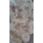 Uncarded Perendale wool for core, stuffing and felting 100g