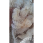 Uncarded Perendale wool for core, stuffing and felting 100g