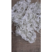 Natural undyed Teeswater curly wool locks and ringlets 10g