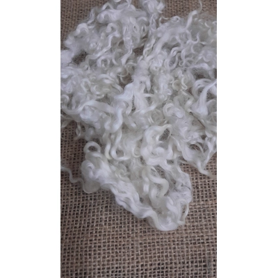 Natural undyed Teeswater curly wool locks and ringlets 10g