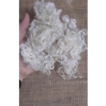 Natural undyed Teeswater curly wool locks and ringlets 10g