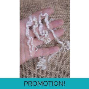 undyed teeswater, natural teeswater, curly wool, white curly wool, cream curly wool, curly wool locks, teeswater, non slaughter wool, pet sheep wool