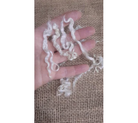 Natural undyed white Teeswater curly wool locks and ringlets 10g for needle felting and doll hair