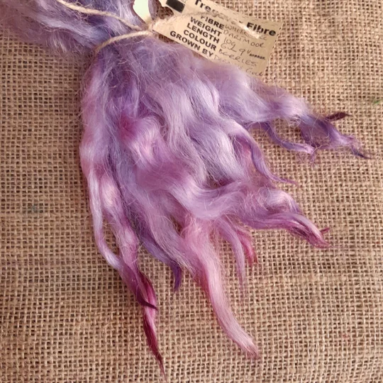 Berries Purple and Pink Mix White Faced Dartmoor wool locks 10g for needle felting and doll hair