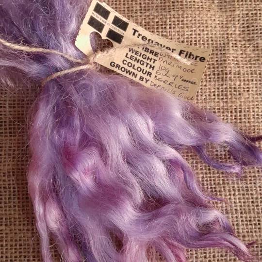 Berries Purple and Pink Mix White Faced Dartmoor wool locks 10g for needle felting and doll hair