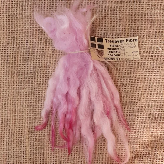 English Rose Mix White Faced Dartmoor wool locks 10g for needle felting and doll hair