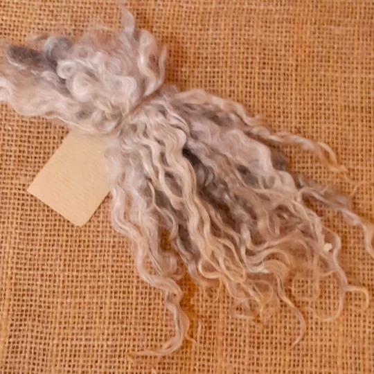 Silver and Grey gotland lambs locks, 10g bunch for needle felting and doll hair