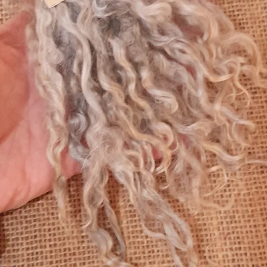 Silver and Grey gotland lambs locks, 10g bunch for needle felting and doll hair