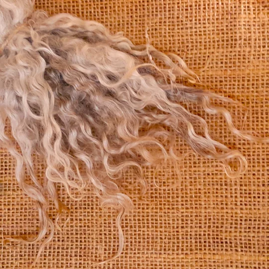 Silver and Grey gotland lambs locks, 10g bunch for needle felting and doll hair