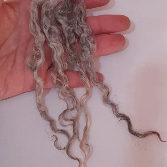 Silver and Grey gotland lambs locks, 10g bunch for needle felting and doll hair