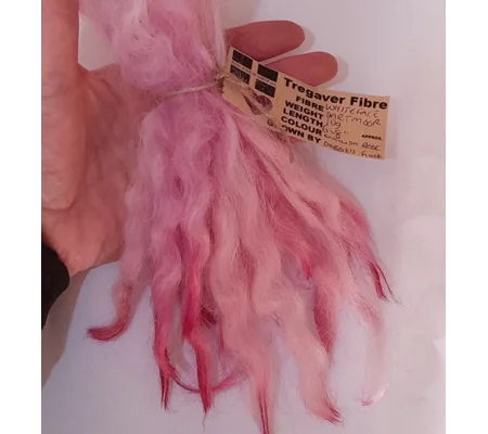 English Rose Mix White Faced Dartmoor wool locks 10g for needle felting and doll hair