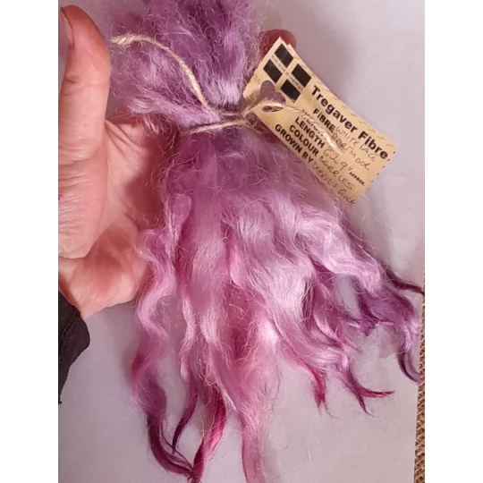 Berries Purple and Pink Mix White Faced Dartmoor wool locks 10g for needle felting and doll hair