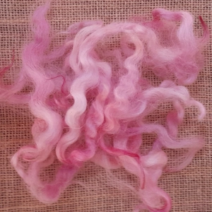 curly pink wool, pink curly wool, pink curls, rare sheep breed wool, non slaughter wool, needle felting wool, wet felting wool