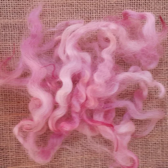 curly pink wool, pink curly wool, pink curls, rare sheep breed wool, non slaughter wool, needle felting wool, wet felting wool