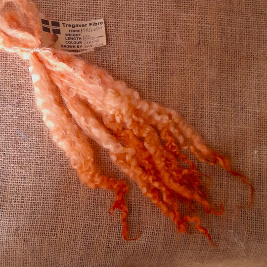 Orange Tangerine hand dyed 10g bunch Masham locks
