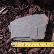 Medium rustic Devonshire slate piece 5-6