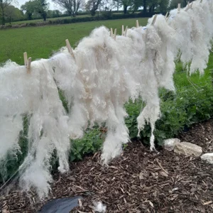 Scoured uncarded fleece