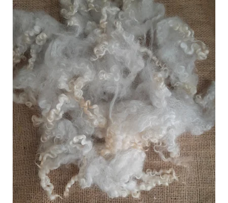 Masham Fleece, ready scoured, for hand spinners and spinning