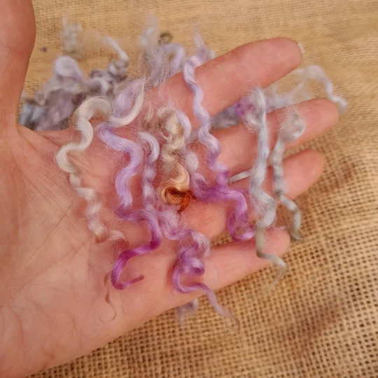 Bright multicolour hand dyed Wensleydale curls for fibre artists, felters and creative wool crafts