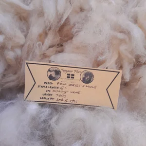 raw fleece for spinning, spinning fleece, hand spinning, dorset fleece, raw wool