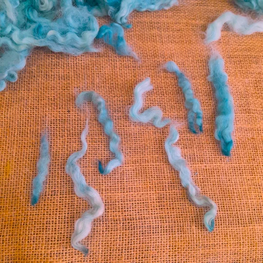Needle Felting wool, Ocean Teal, Devon and Cornwall longwool curly wool, 10g