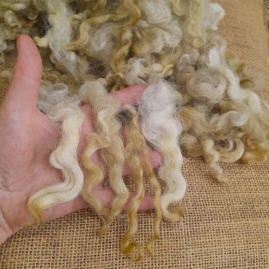Natural caramel coloured Devon and Cornwall Longwool curls for mixed media fibre art supplies
